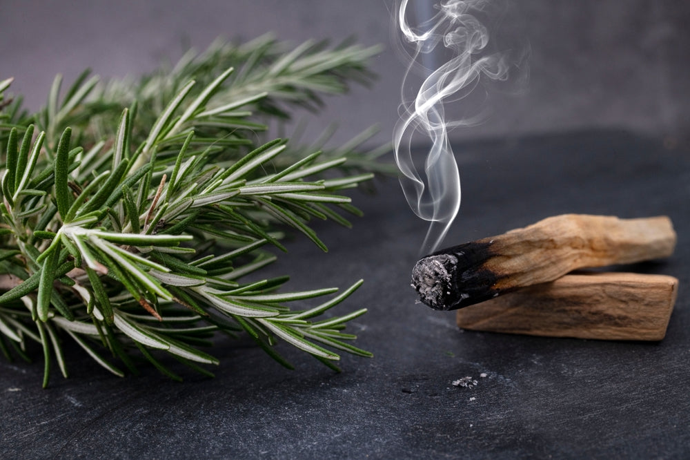 15 Incredible Benefits of Rosemary Incense My Incense Waterfalls